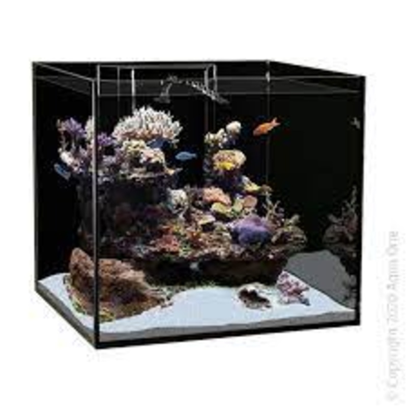 Aqua One Reefsys 180 Nebraska Oak (53446no-s)