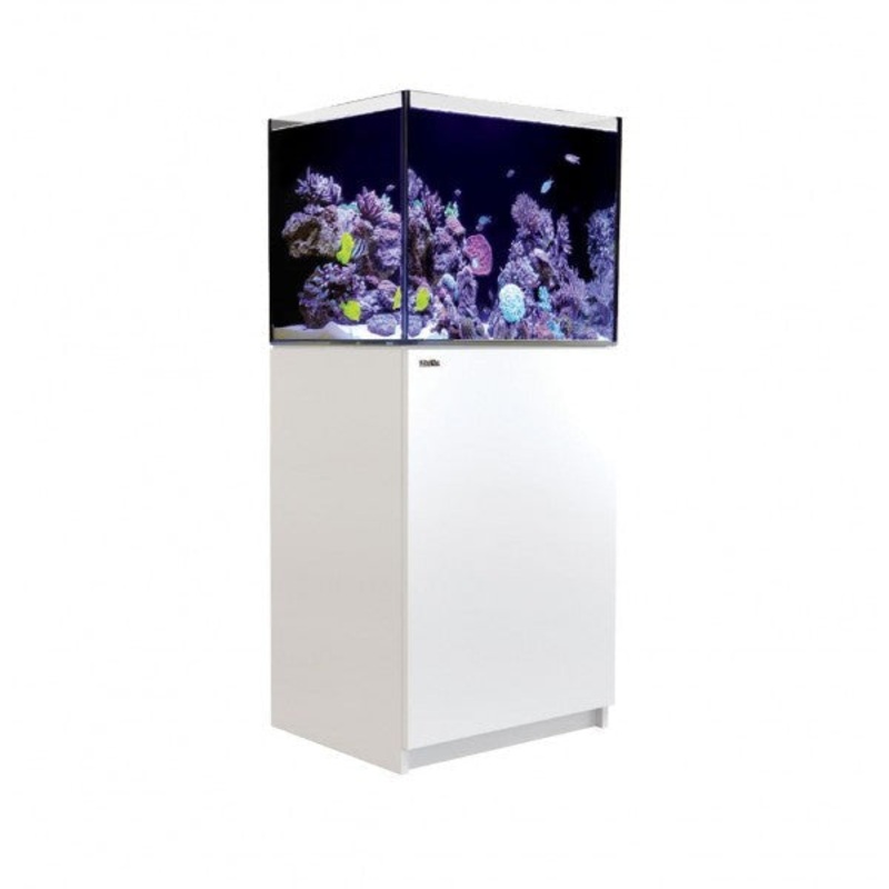 Red Sea Reefer 170 White