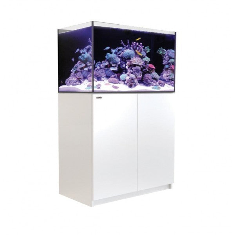 Red Sea Reefer 250 White