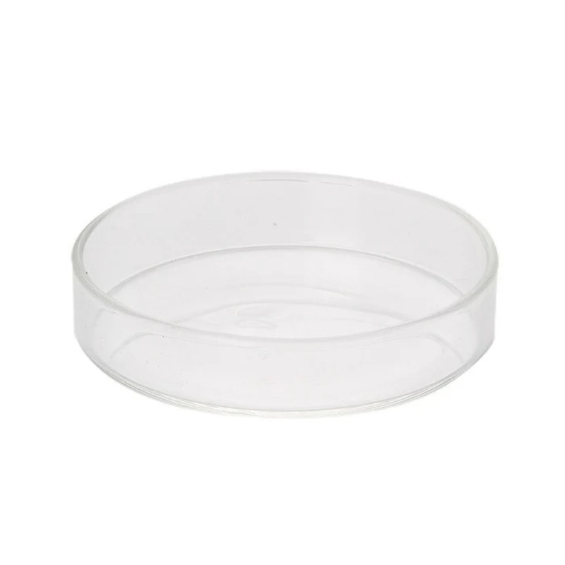 Shrimp Glass Feeding Dish (75mm)