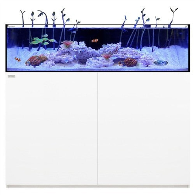 Waterbox Aquariums Platinum Frag 80.4 White