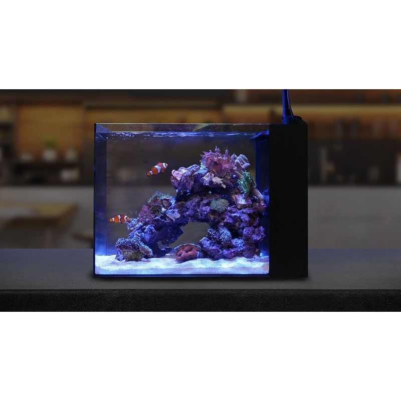 Waterbox Aquariums Peninsula 15