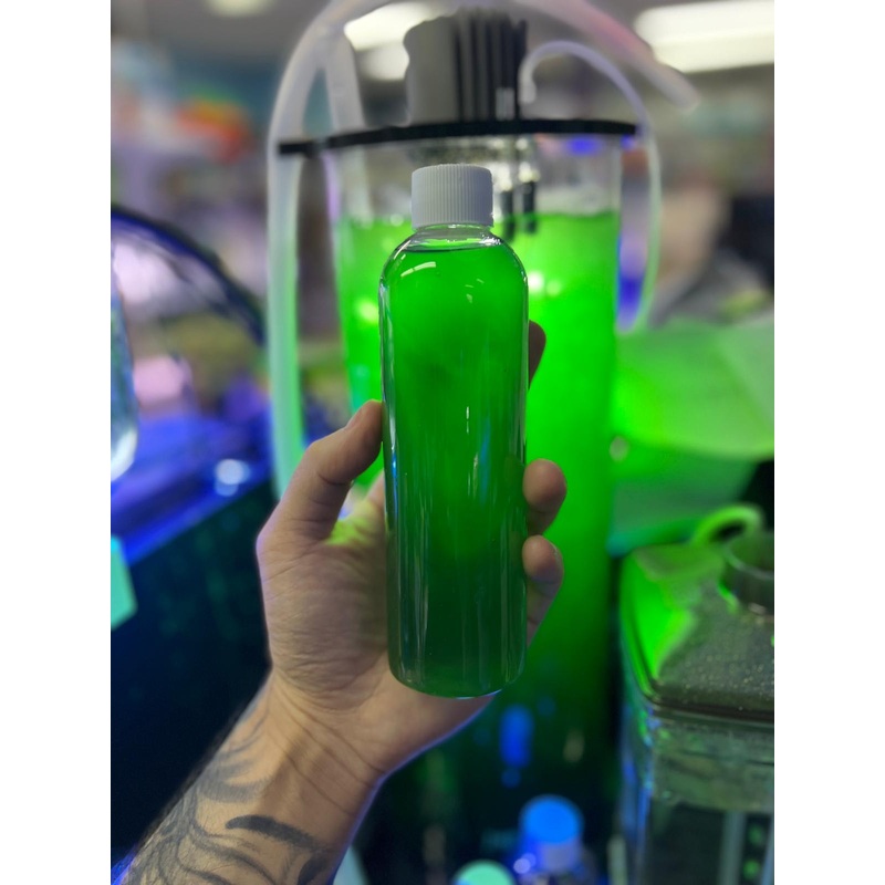 Live Phytoplankton 250ml/500ml/1000ml 1L