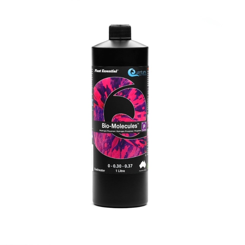Quantum Bio Molecules 1l