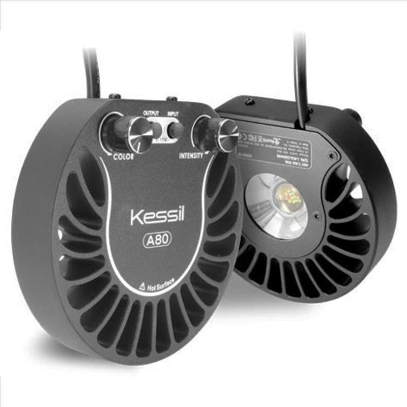 Kessil A80 Tuna Blue