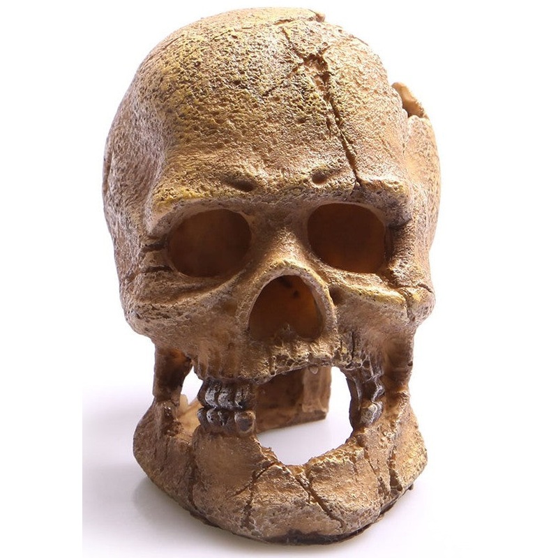 Aqua One Ornament Huamn Skull With Hole 13.5x9.5x13cm (36763)