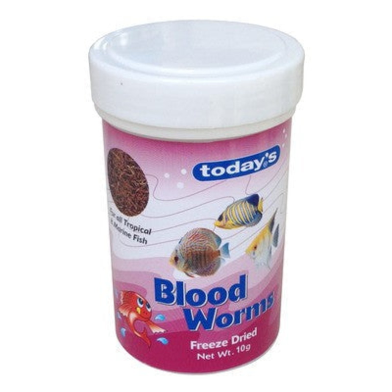 Today's Bloodworm Freeze Dried 10g