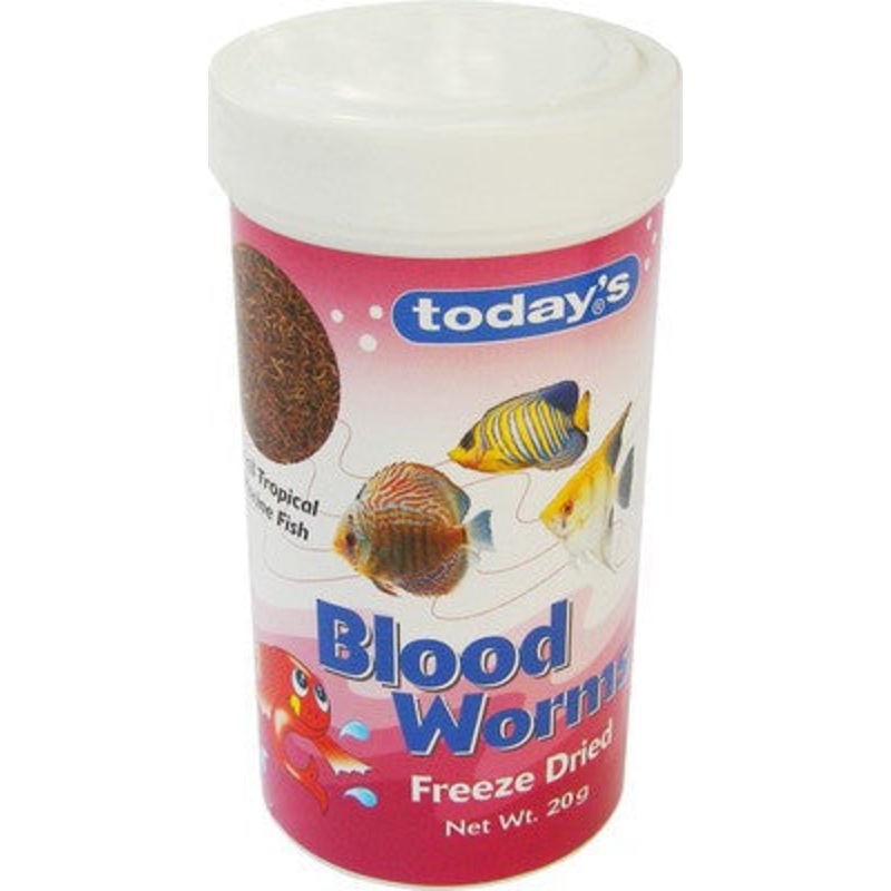 Today's Bloodworm Freeze Dried 20g