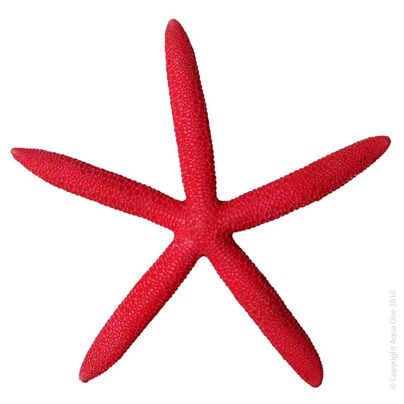 Aqua One Hermit Crab Starfish Red 15x13.8x1.7cm (37179r)
