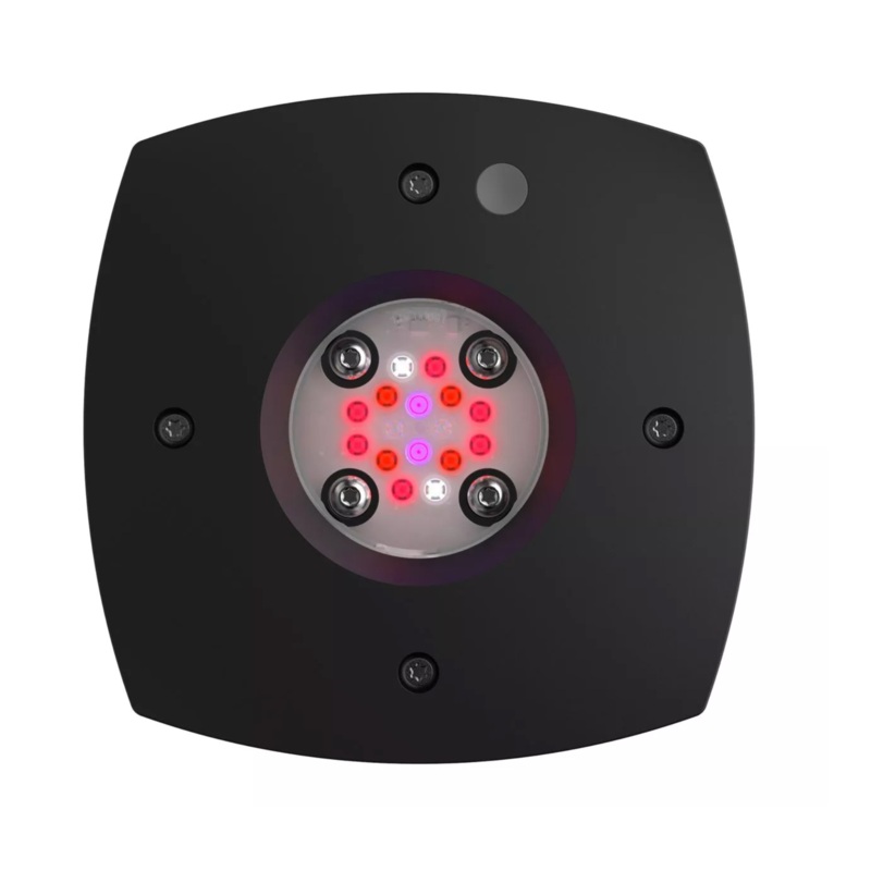 Aqua Illumination Prime 16 LED Fuge Light - Black Body