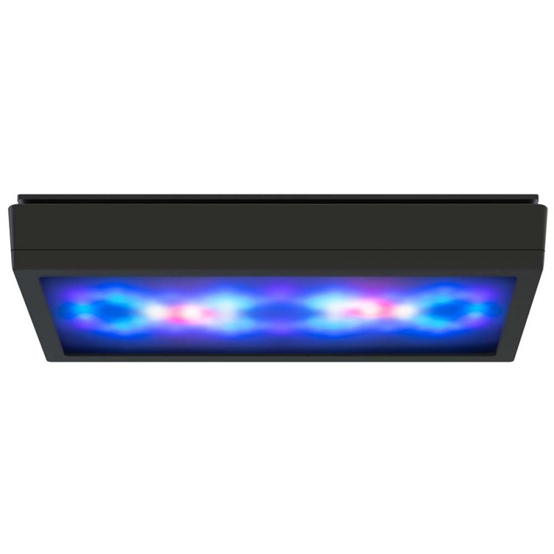 Ecotech Marine Radion G5 Diffuseur - XR30