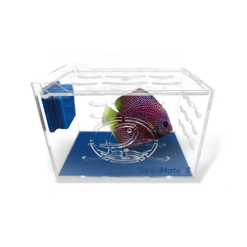 Eshopps Tanklimate Petite Boite d'Acclimatation