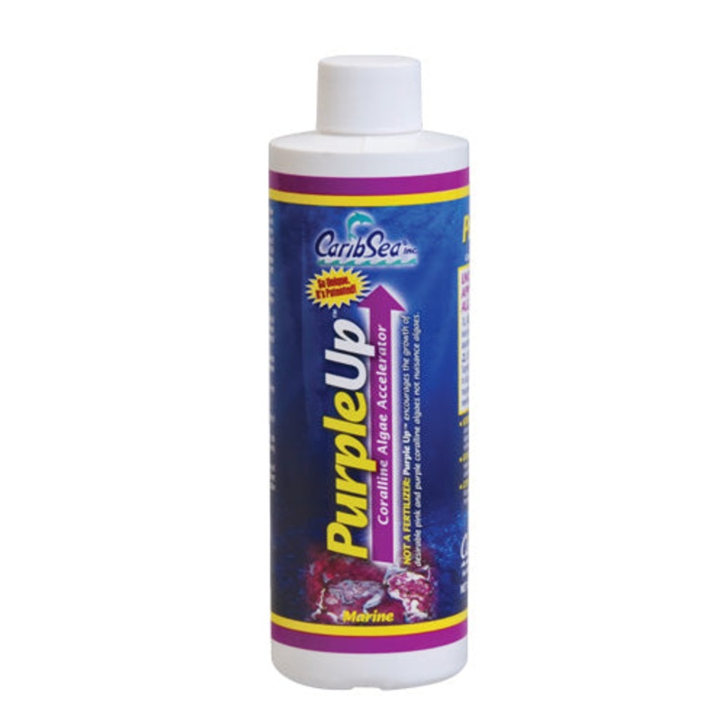 PurpleUp - 8 fl oz