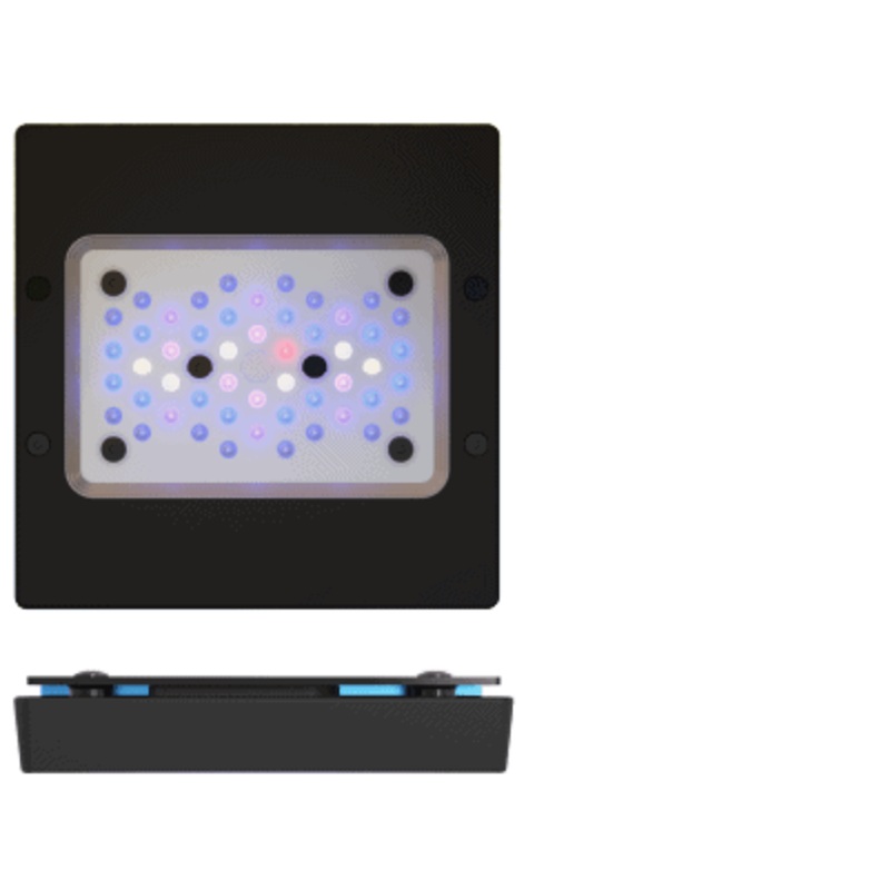 Ecotech Marine Radion XR15 Blue G6