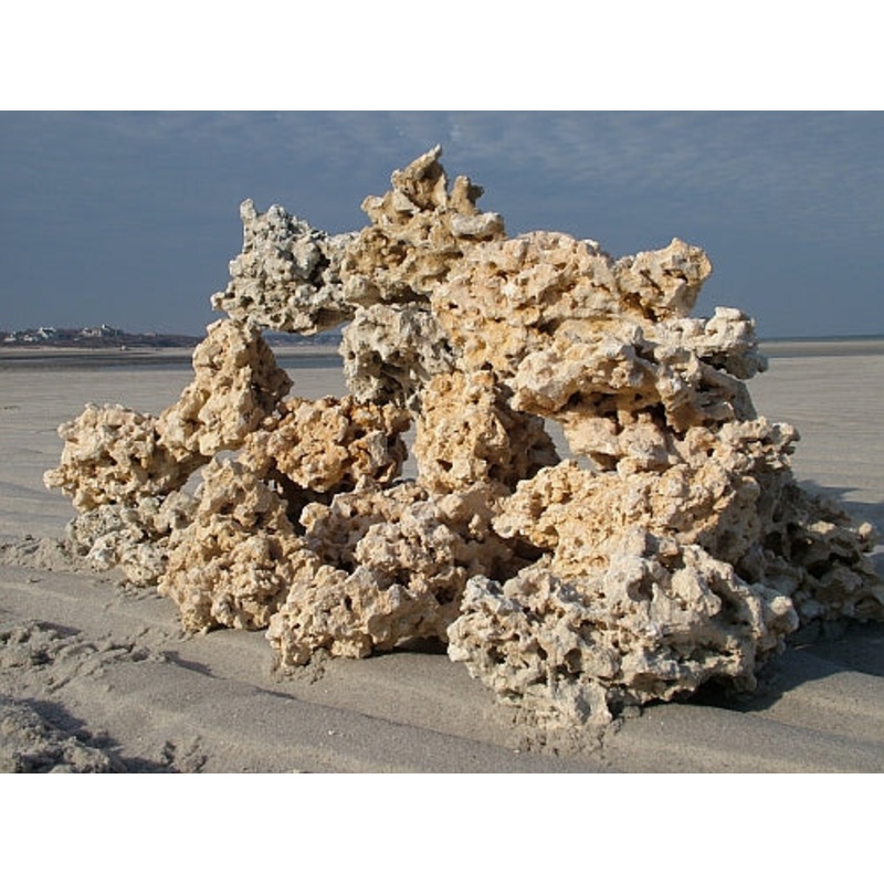 Marco Rocks Key Largo Foundation Rock