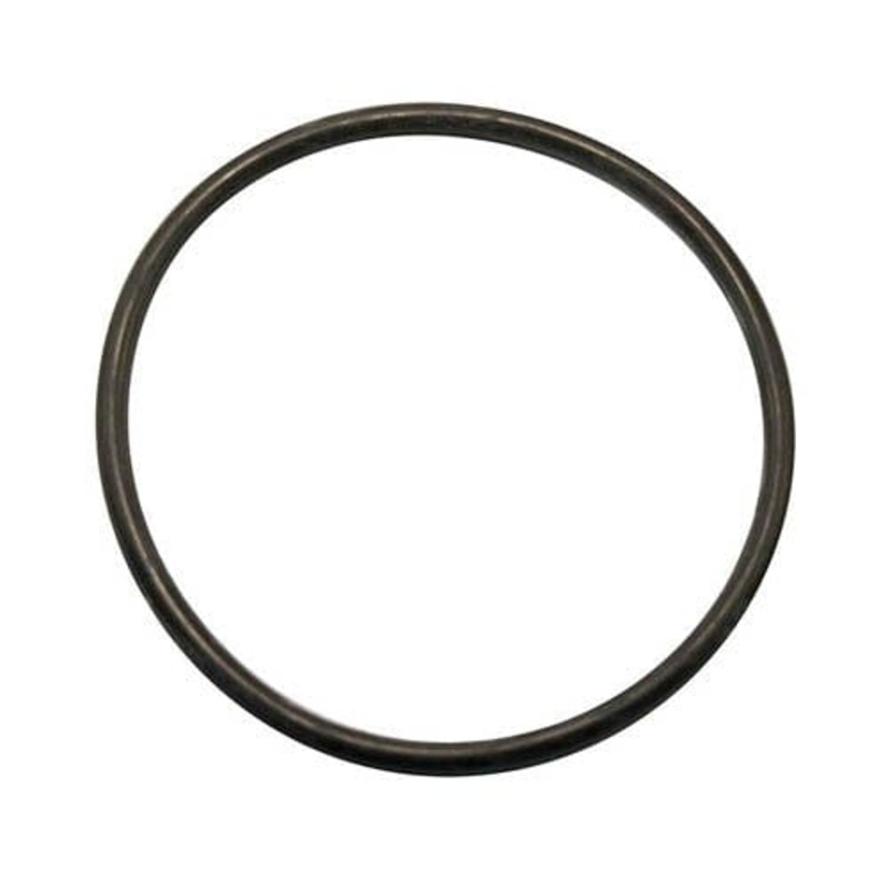 Phosban 550 O-Ring de remplacement