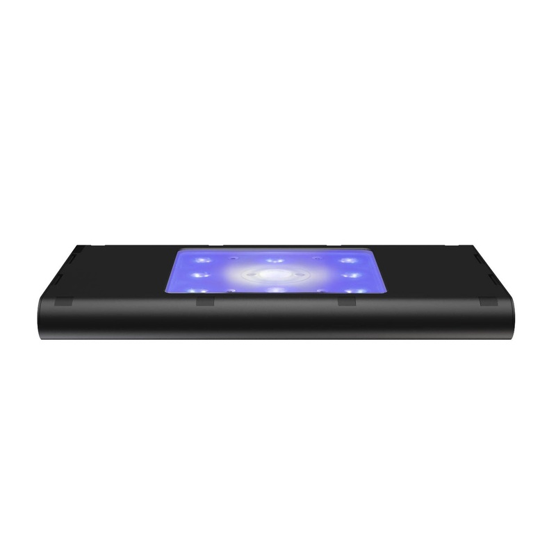 Hydra Edge 44HD  clairage LED Full Spectrum pour Coraux et Rcifs