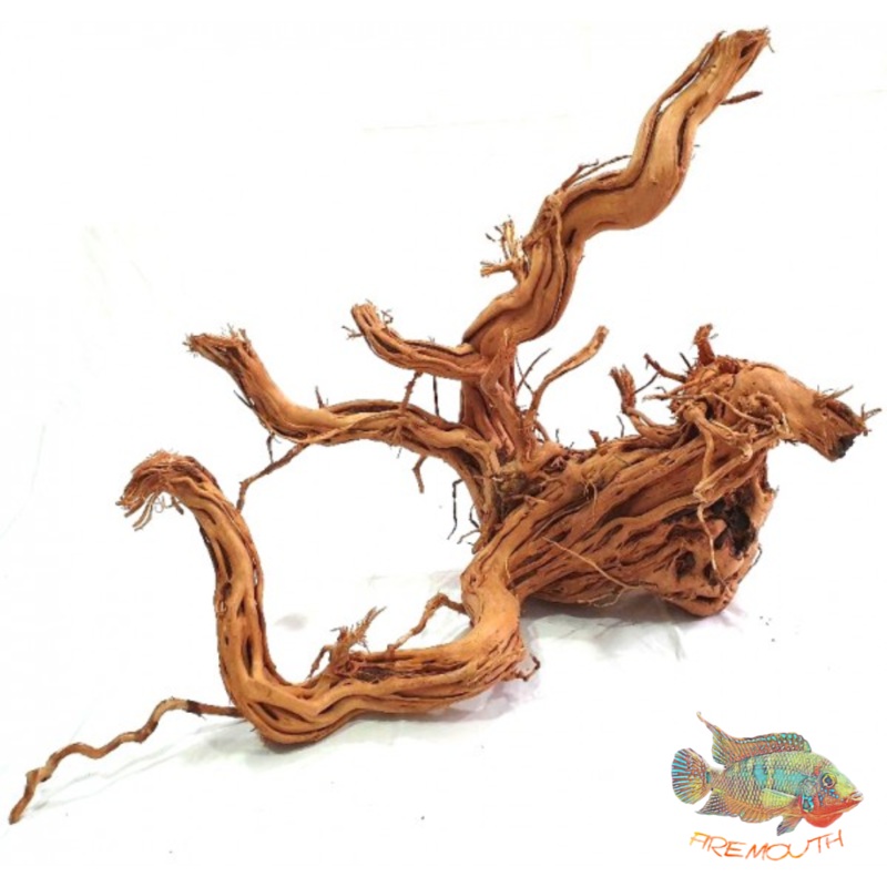 Twist Root