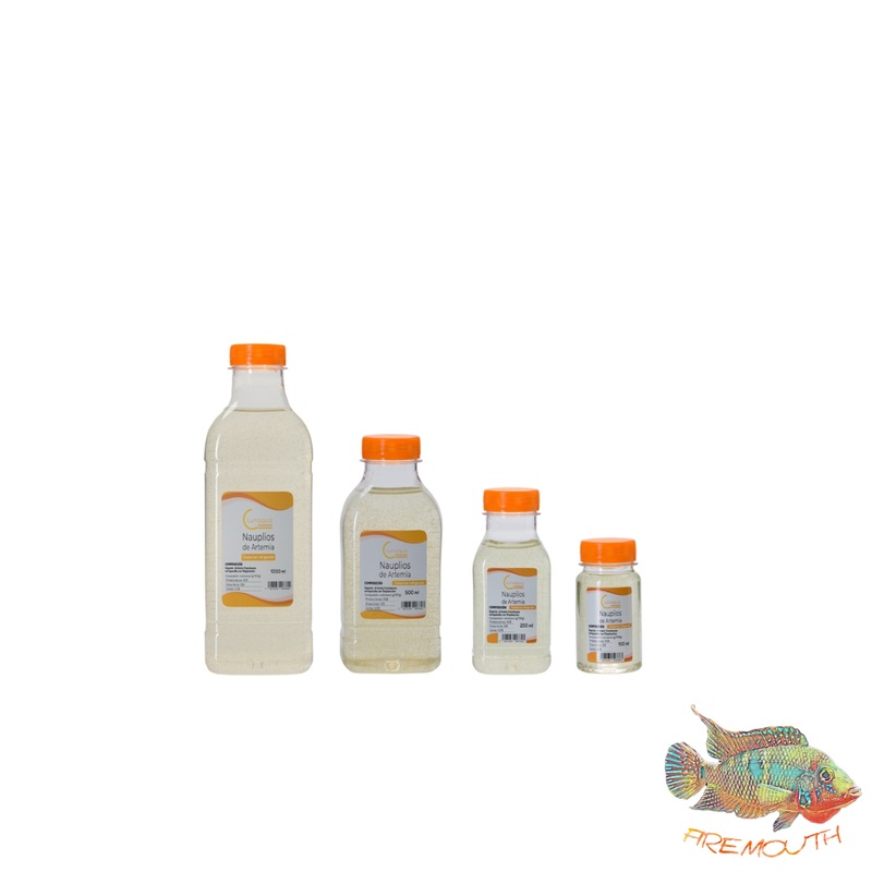 Nauplios de artemia vivos