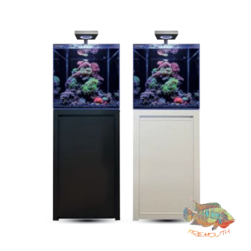 REEF 125 AQUARIUM BLUE MARINE