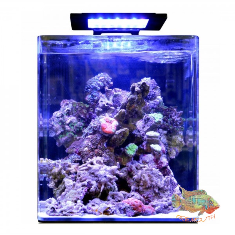 REEF 60 AQUARIUM BLUE MARINE