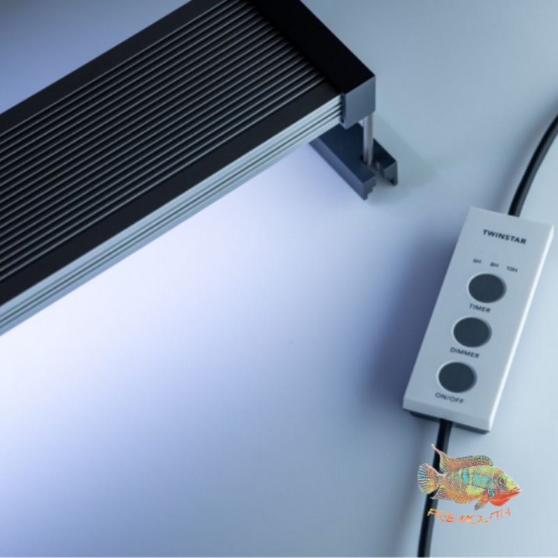 Twinstar Light B-Line II NUEVO MODELO!