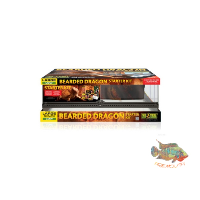 Kit de Inicio Terrario EXO TERRA - Pogona