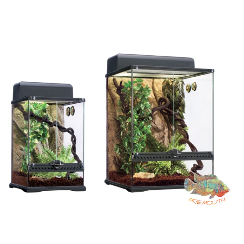 Kit Terrario Tropical EXO TERRA