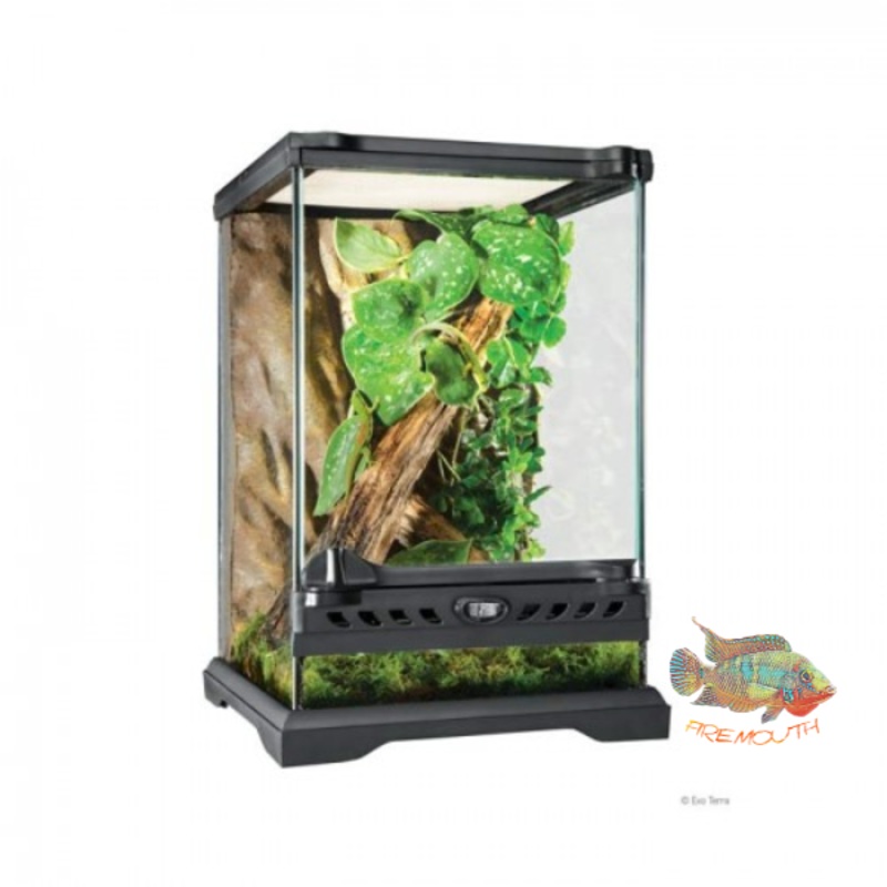 Terrario Cristal EXO TERRA - diferentes modelos y tamaos