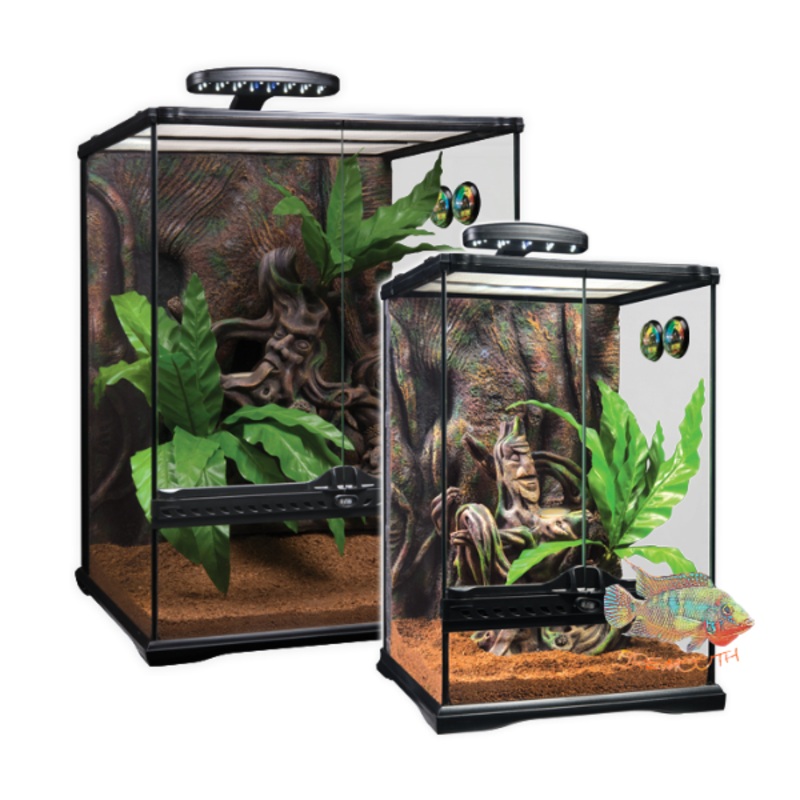 Terrario Gecko Crestado EXOTERRA
