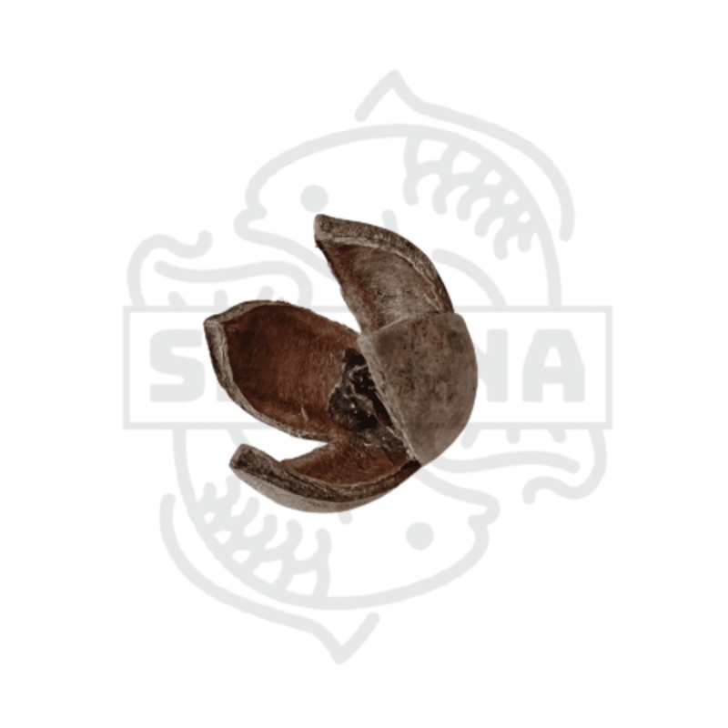Khaya Pod