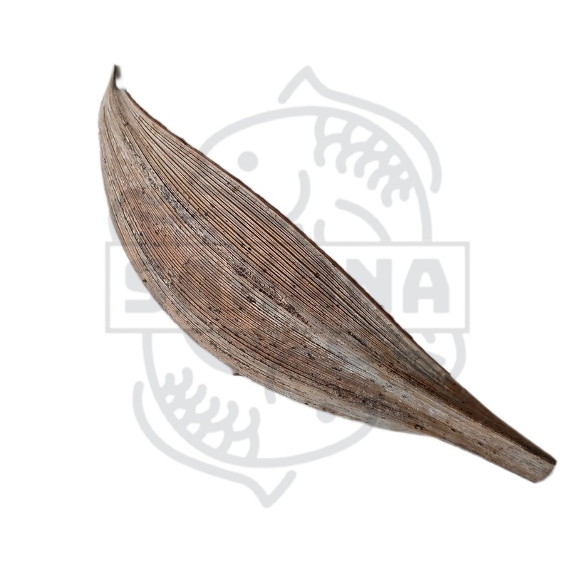 Palm Pod XXL