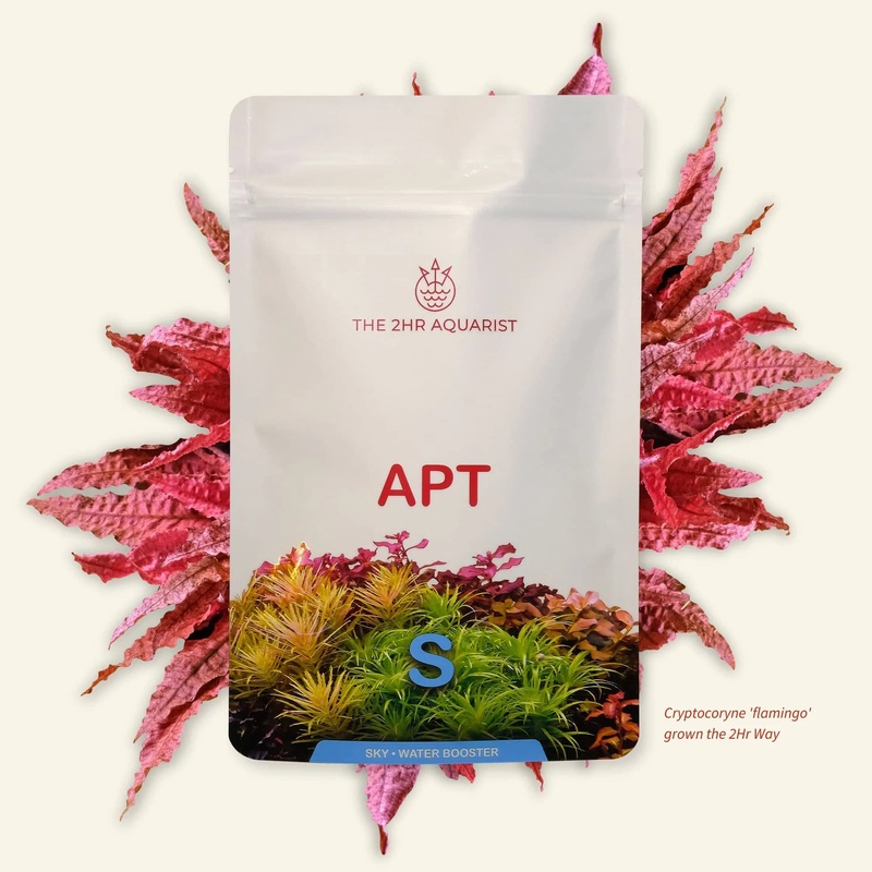 2Hr APT Sky 150gr
