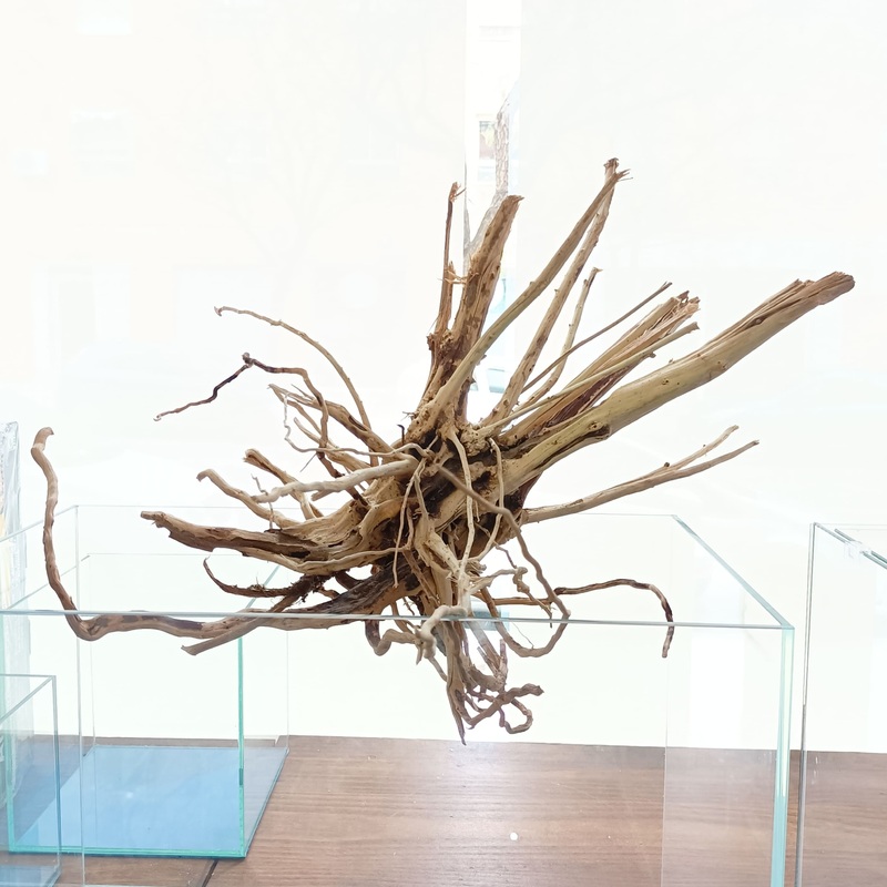 Light Wood n 3 - decoracin natural seleccionada