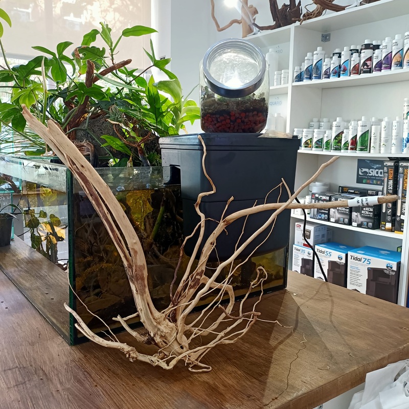 Light Wood n 6  - decoracin natural seleccionada