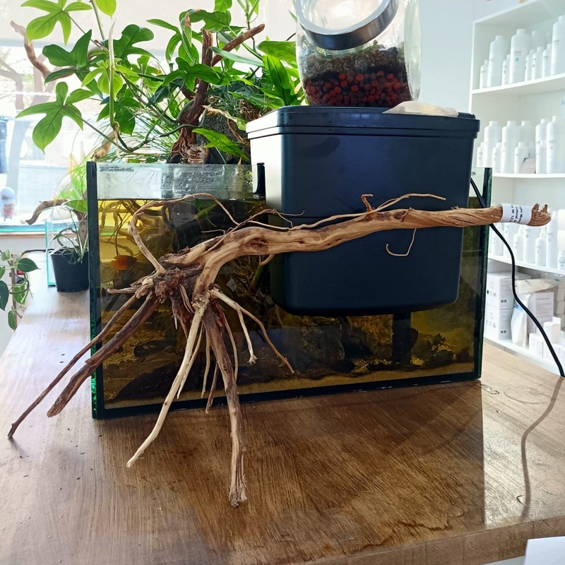 Light Wood n 7 - decoracin natural seleccionada