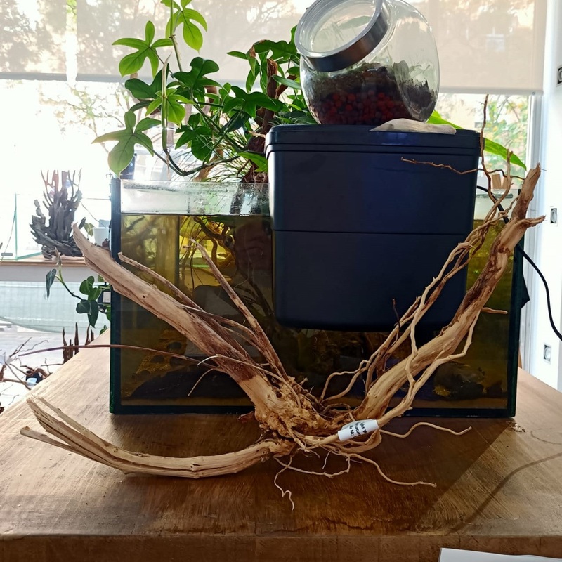 Light Wood n 8 - decoracin natural seleccionada