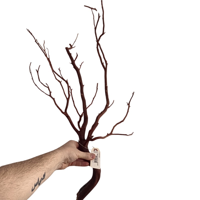 Manzanita wood - dos tamaos