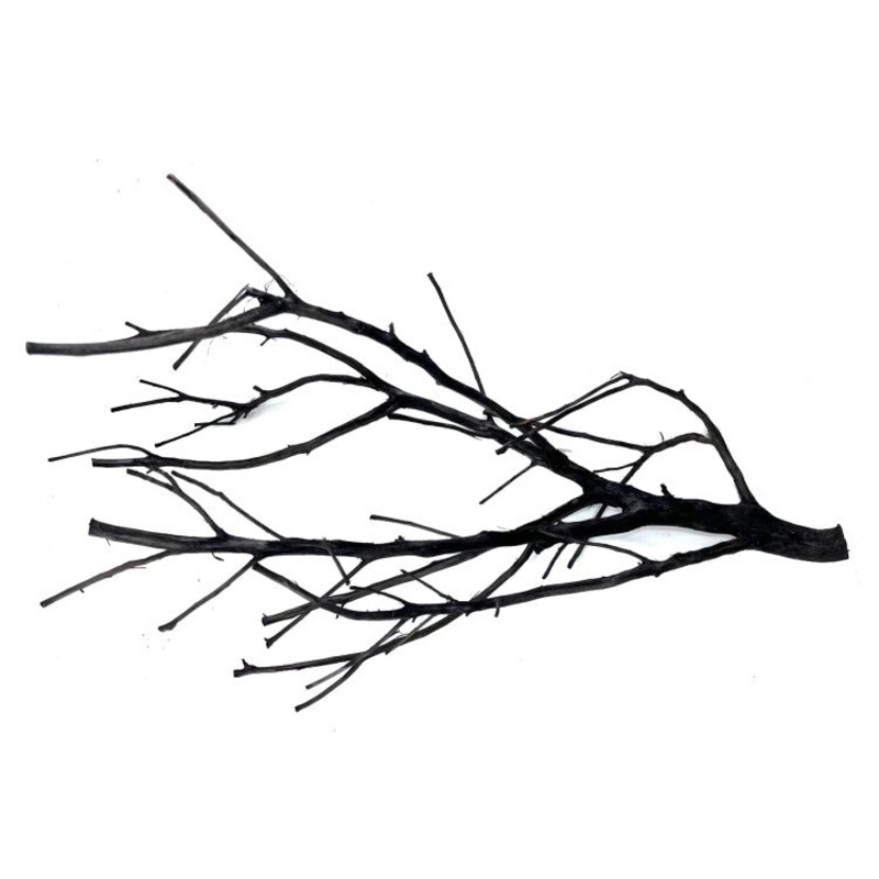 Shadow Wood