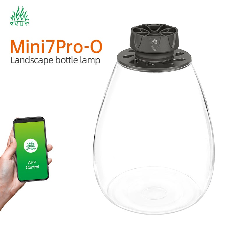 Week aqua - Wabi kusa Mini7Pro-O LED
