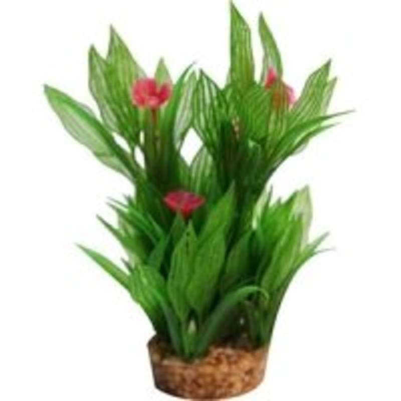 Aqua One Silk Plant Madagascar Lace W Gravel Base L