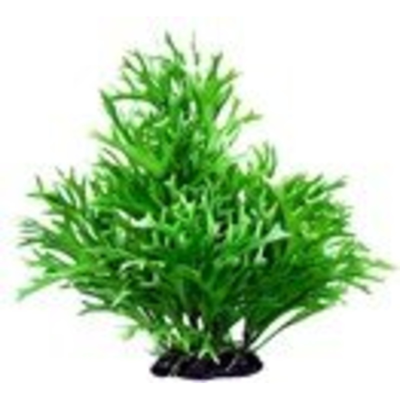 Pet Worx Deluxe Bunch Plant 22