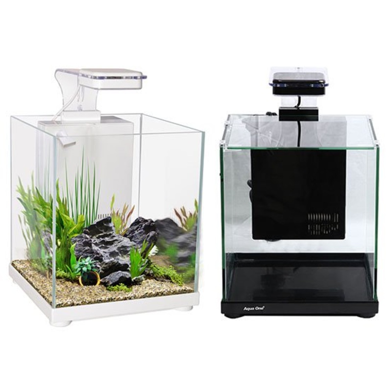 Aqua One BT10 LED Betta Sanctuary / Focus 14 23 White