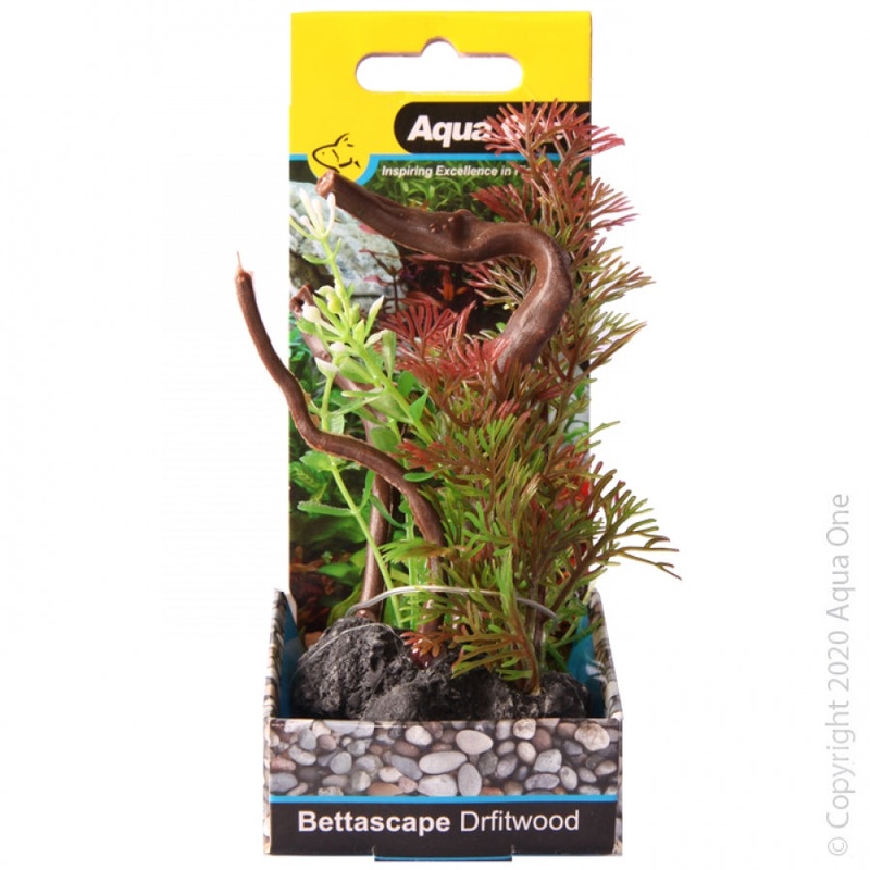 Aqua One Mayaca On Driftwood