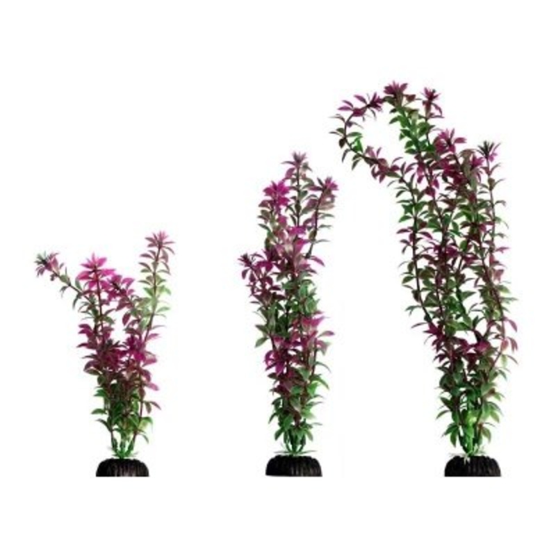Aqua One Ecoscape Rotala Red M