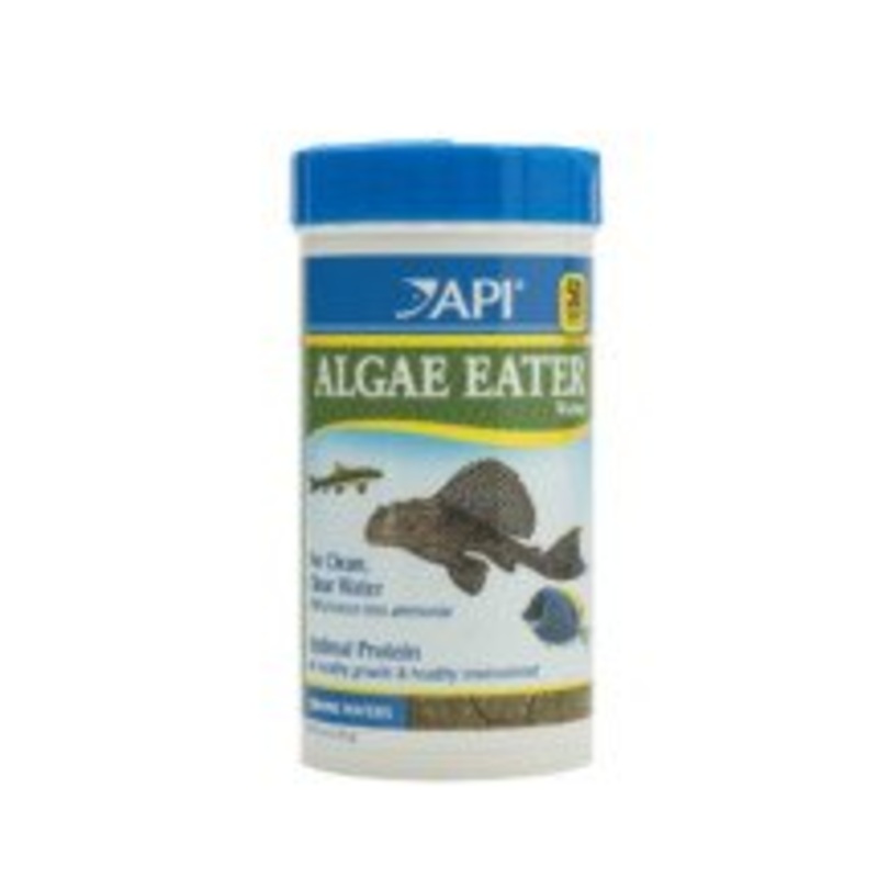 Api - Algae Eater Wafers 37gm