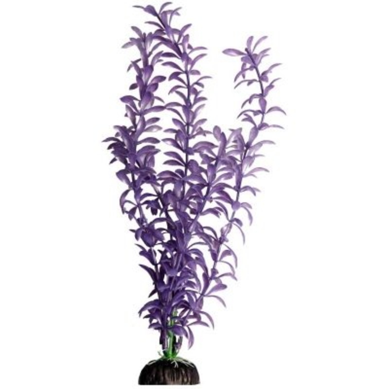 Aqua One Brightscape Ludwigia White L