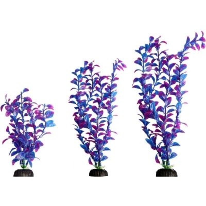 Aqua One Brightscape Ludwigia Orange M