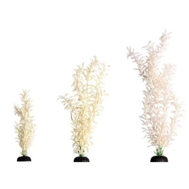 Aqua One Brightscape Ludwigia White M