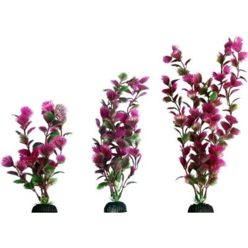 Aqua One Ecoscape Fan Palm Pink M